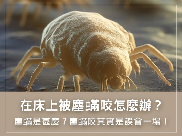 塵螨咬